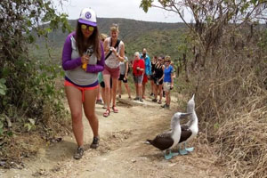 Hiking on Isla de la Plata, you can see blue-footed boobies