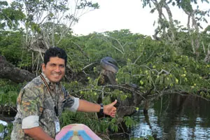 Anaconda in the Cuyabeno Jungle Spotted by Guide