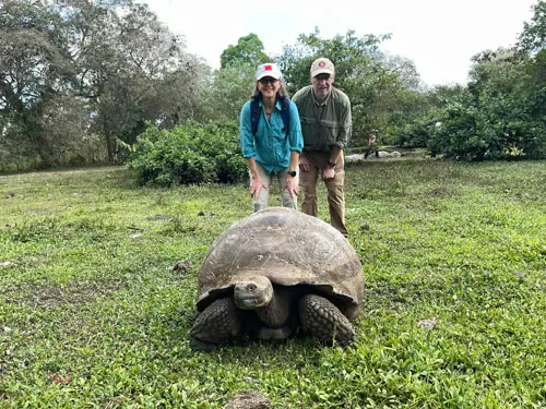 Giant tortoises in Santa Cruz Island, Galápagos