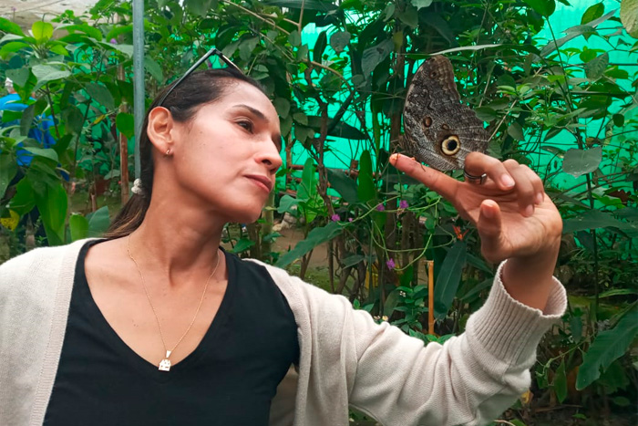 Nataly's Butterfly and Orchid Garden in Mindo
