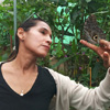 Educational butterfly farm tour near Mindo Park