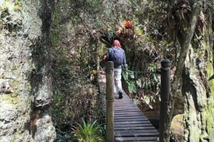 Guided walk through La Isla trail in Papallacta